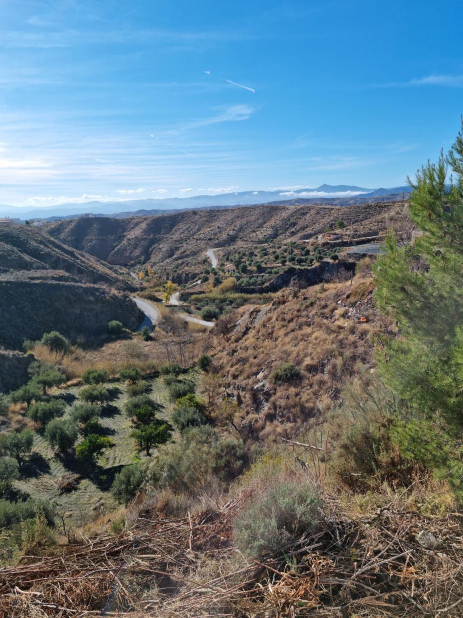 Cortijo Naturista Con Vistas-Clothing Optional Oria ภายนอก รูปภาพ