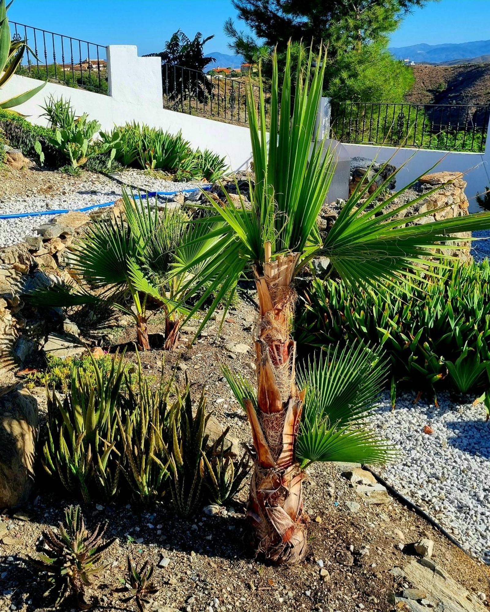 Cortijo Naturista Con Vistas-Clothing Optional Oria ภายนอก รูปภาพ