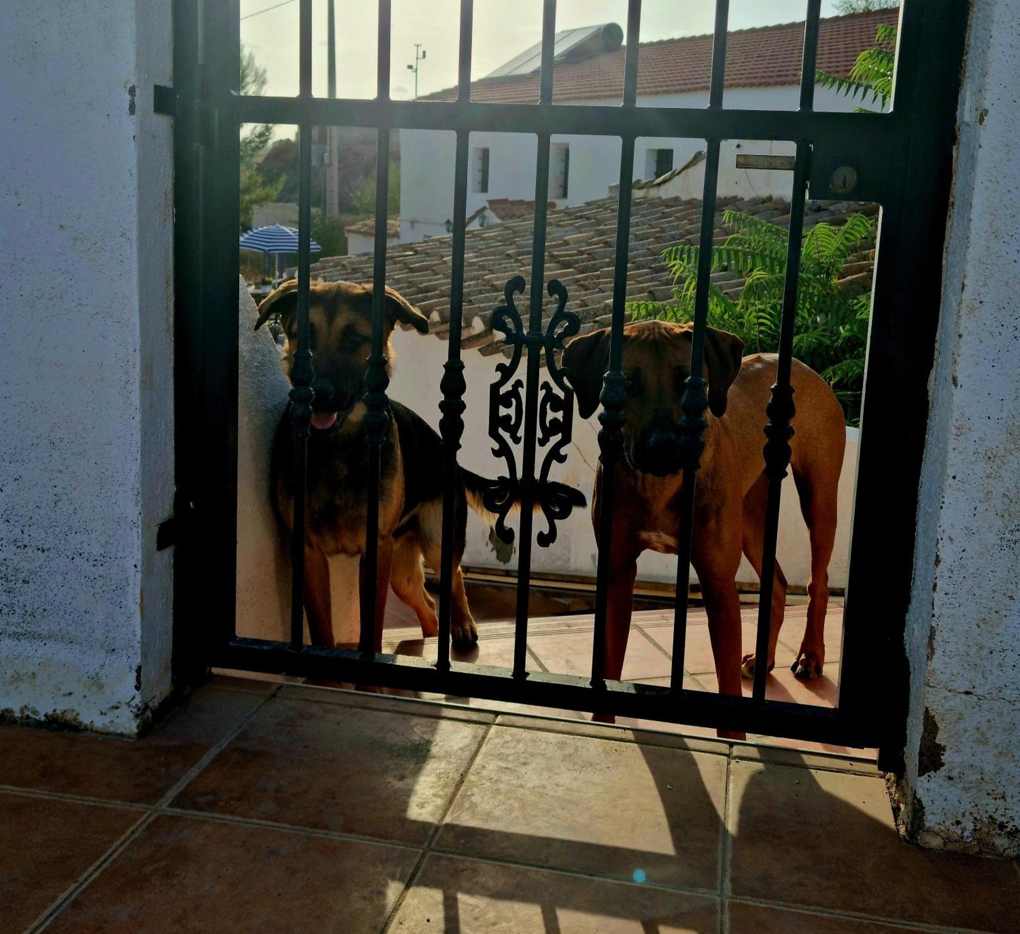Cortijo Naturista Con Vistas-Clothing Optional Oria ภายนอก รูปภาพ